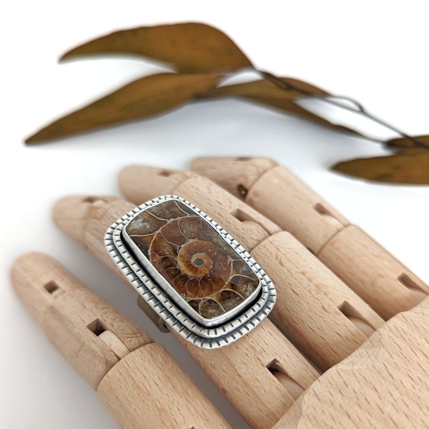 Framed Ammonite Statement Ring : Size 7.5