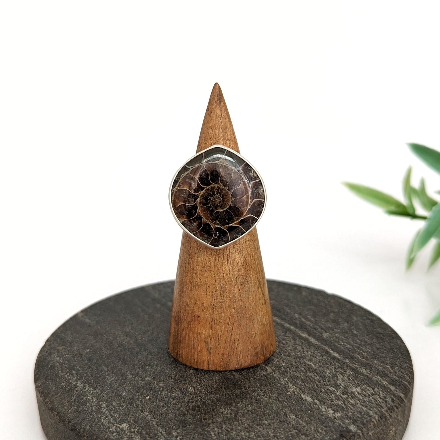 Ammonite Ring : Size 9