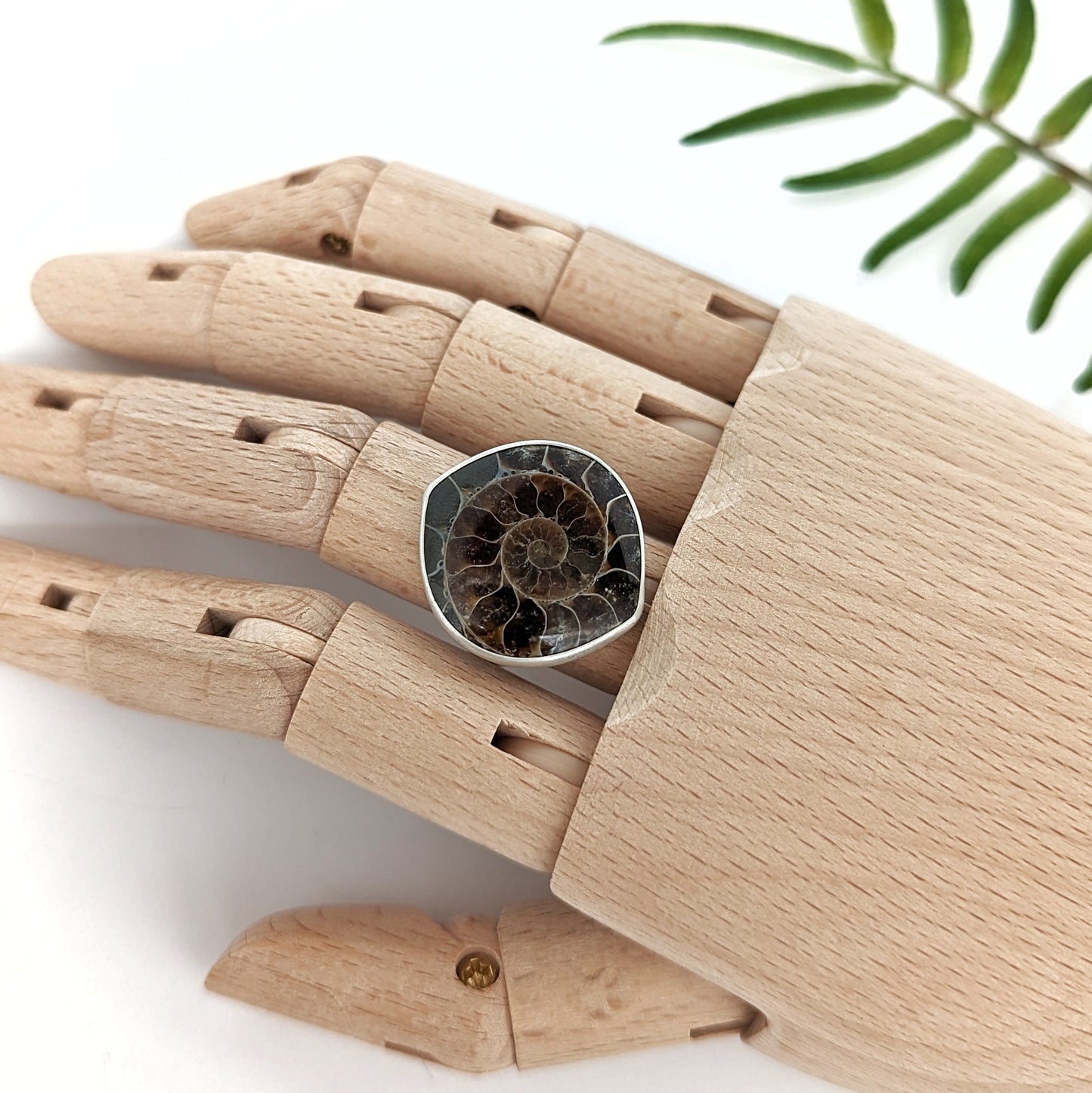 Ammonite Ring : Size 9