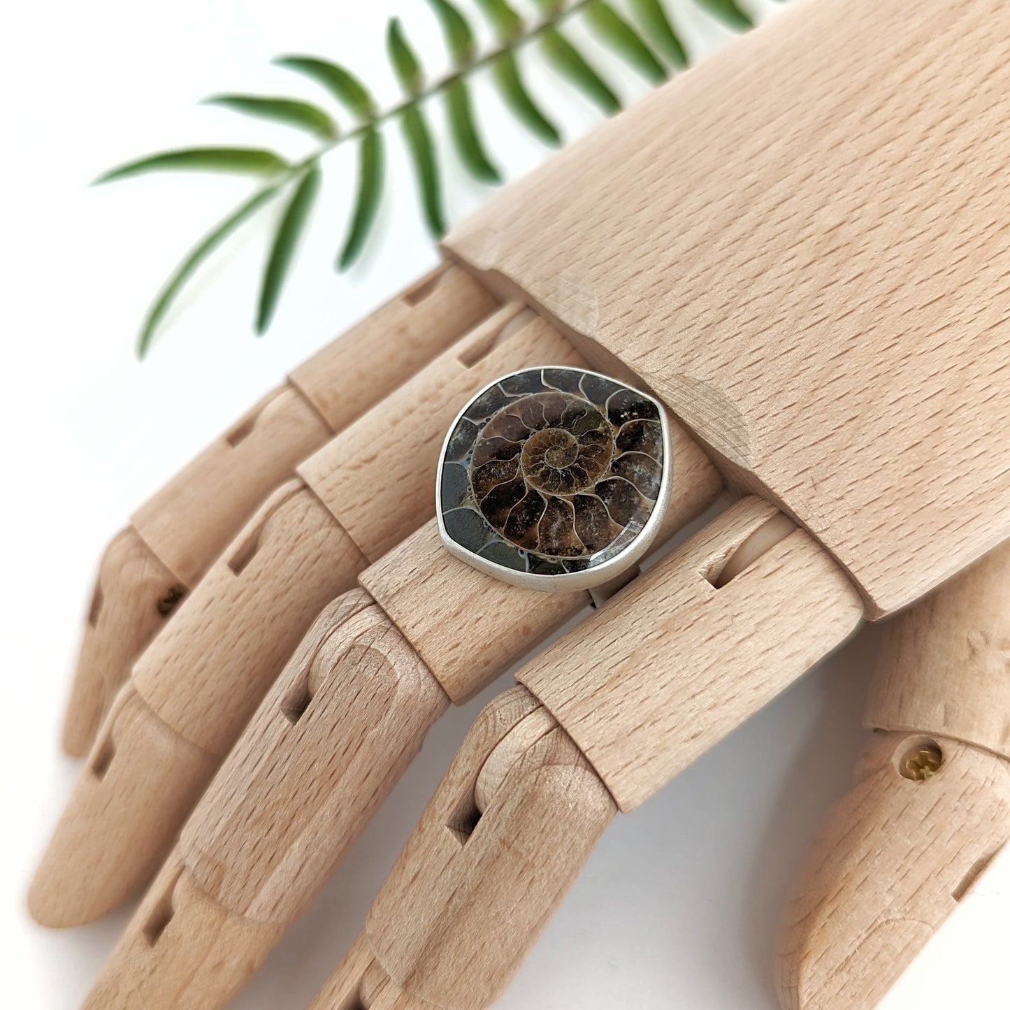 Ammonite Ring : Size 9