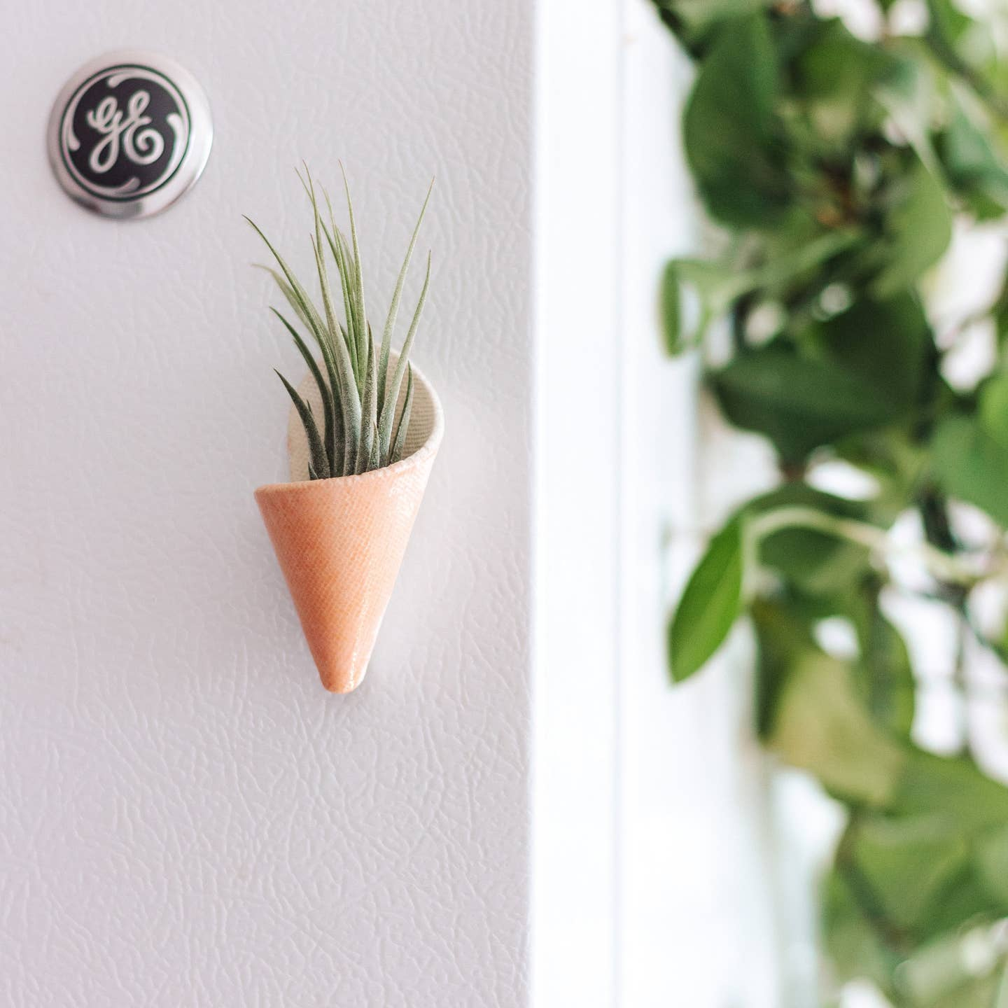 Magnetic Planter - Blush