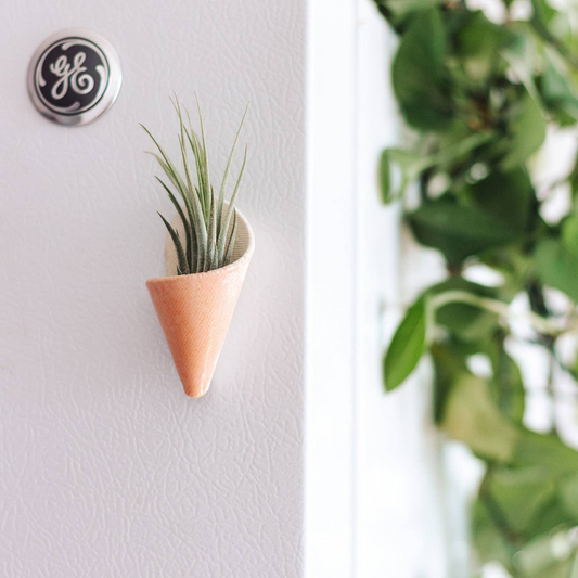 Magnetic Planter - Blush