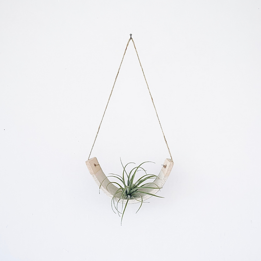 Air Plant Cradle - Gloss White Speckled