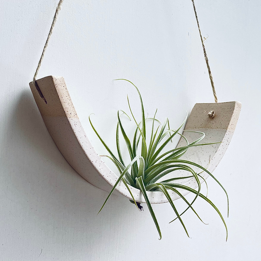 Air Plant Cradle - Gloss White Speckled