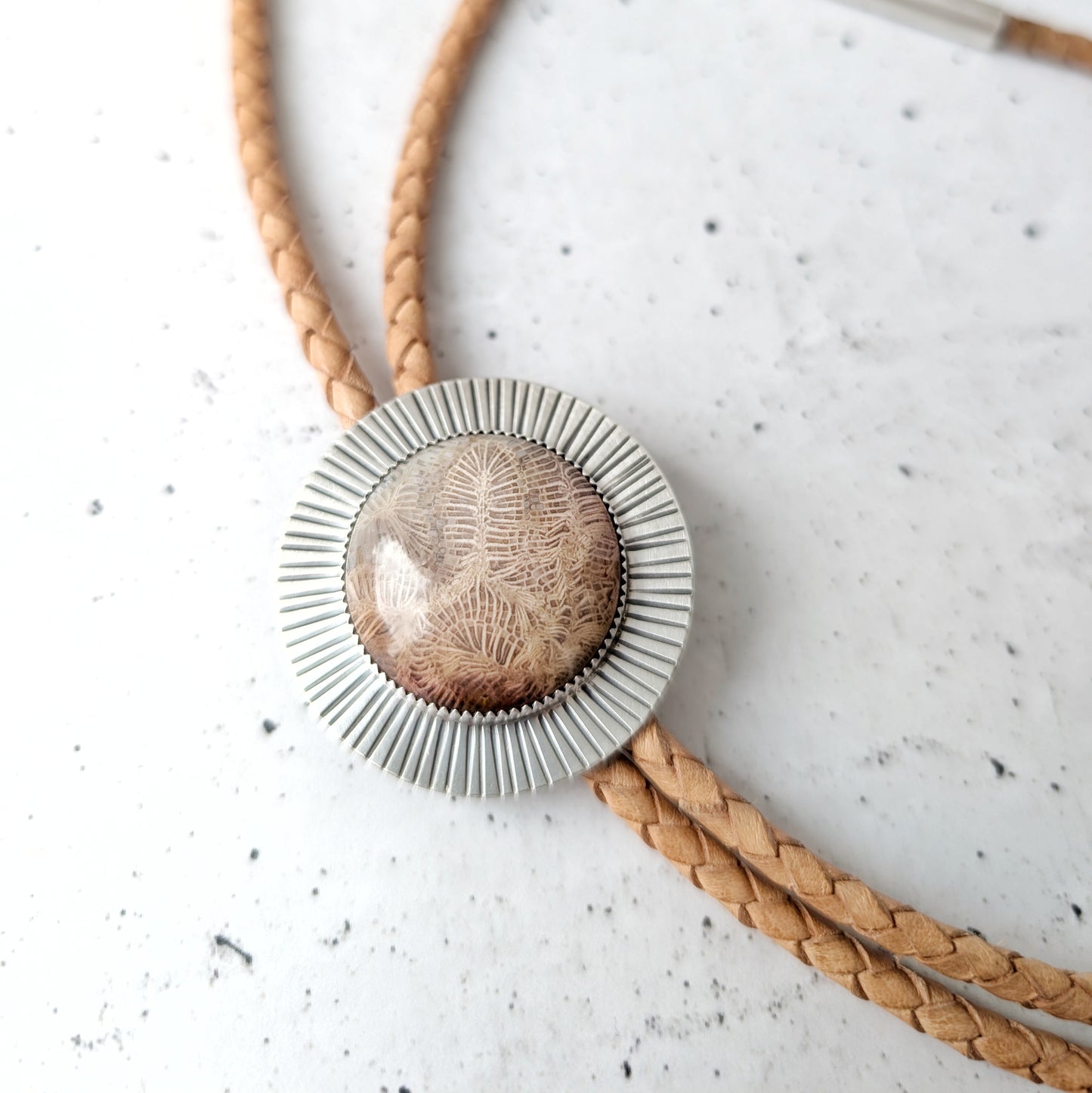 Fossilized Coral Statement Bolo