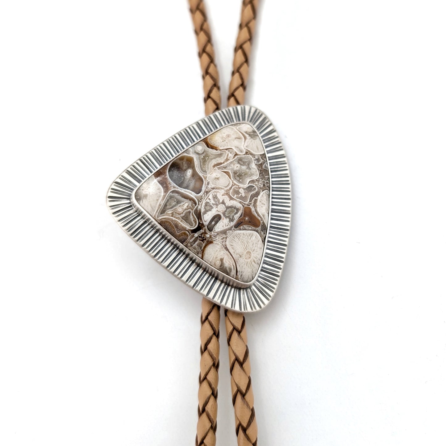 Fossilized Peanut Wood Statement Bolo